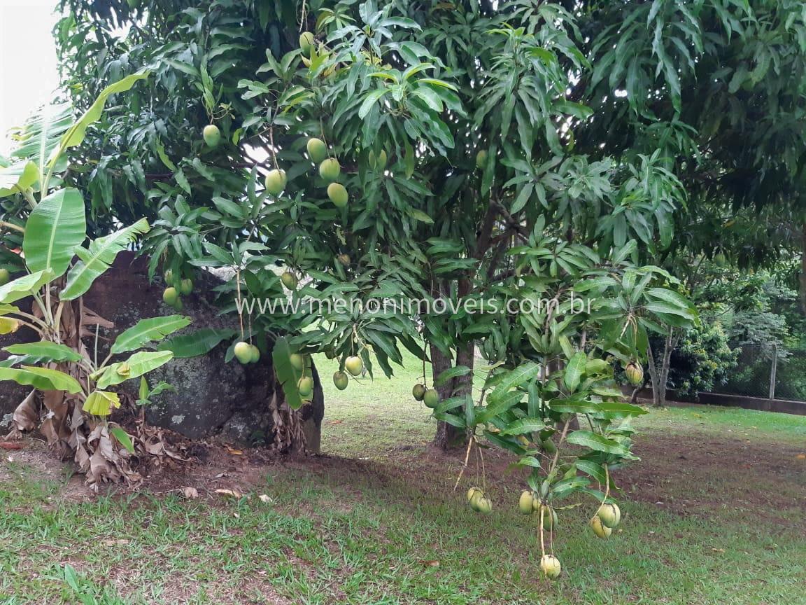 Fazenda, 4 hectares - Foto 32