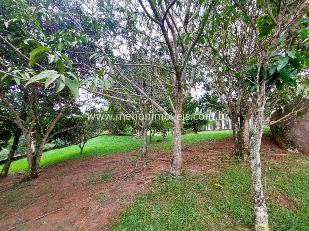 Fazenda, 4 hectares - Foto 31