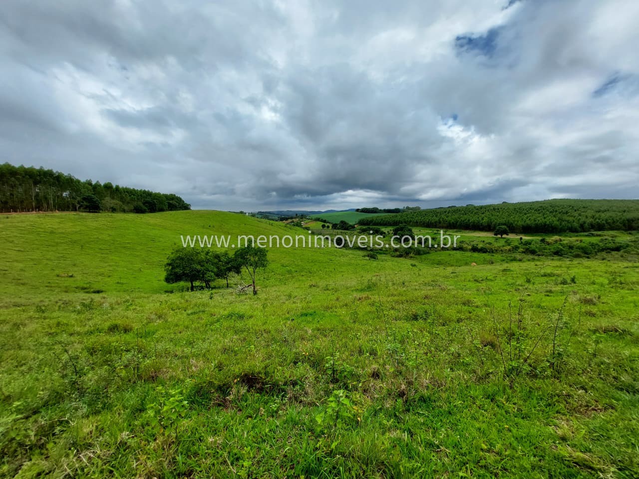 Sítio, 5 m² - Foto 4