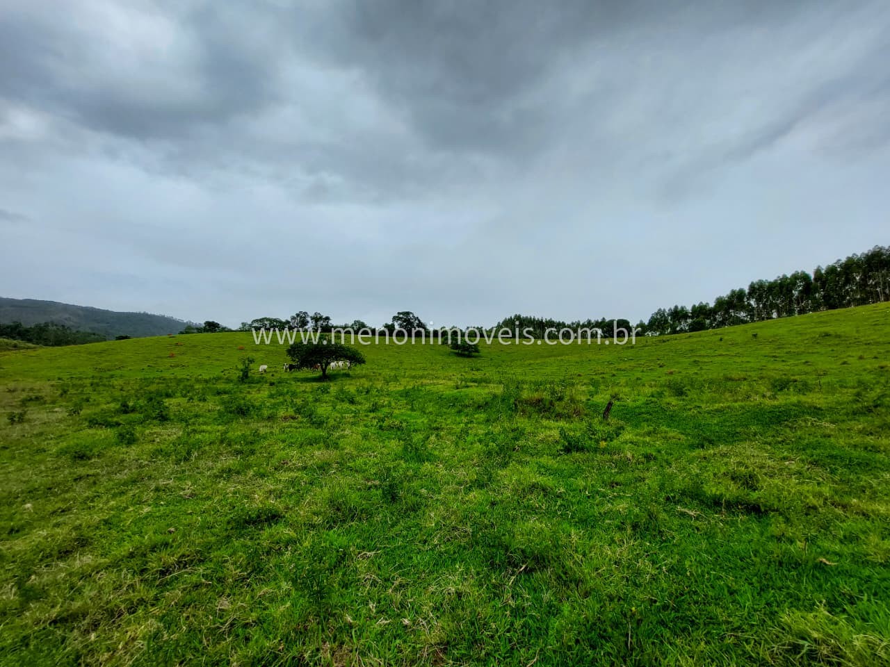 Sítio, 5 m² - Foto 10