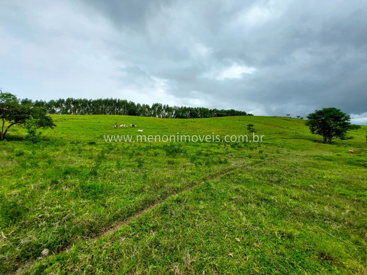 Sítio, 5 m² - Foto 9