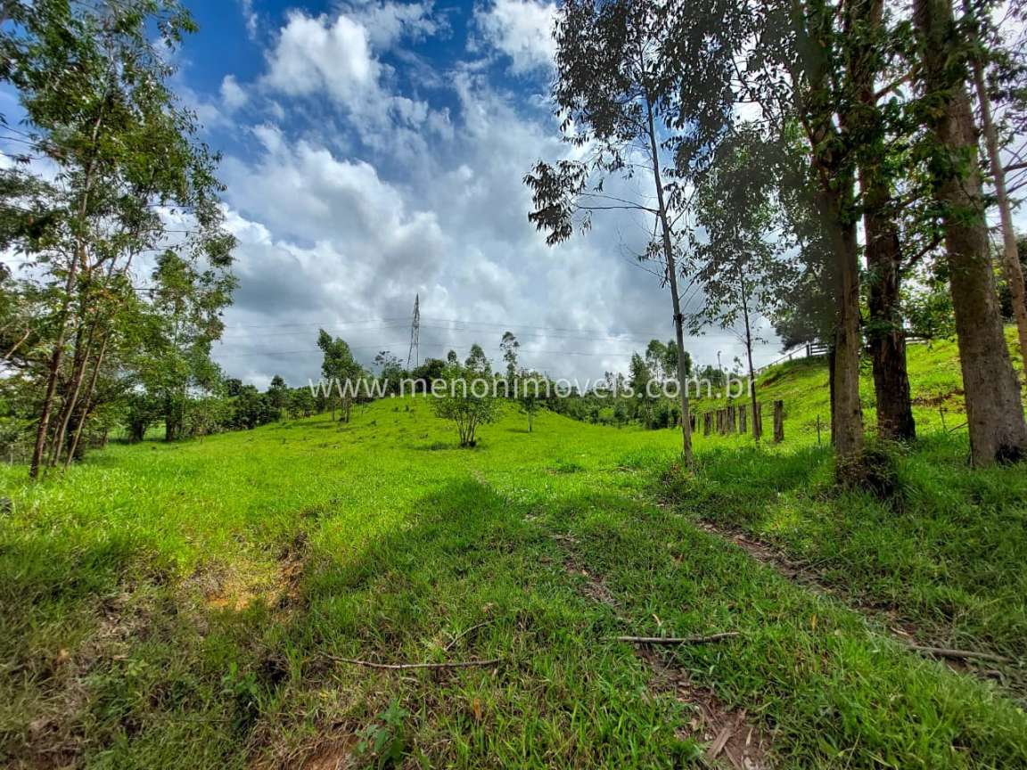 Sítio, 2 hectares - Foto 1