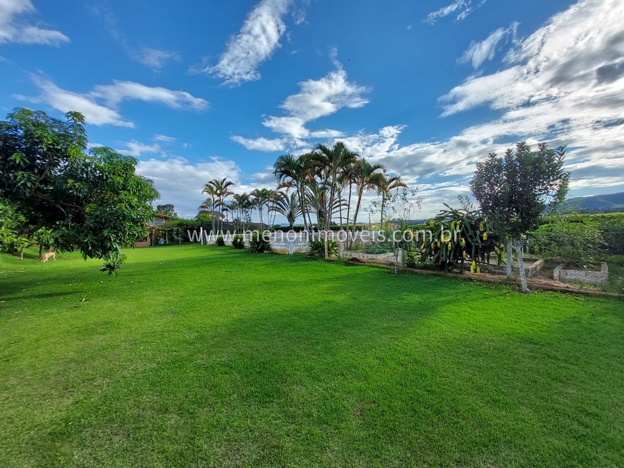 Fazenda, 2000 m² - Foto 21