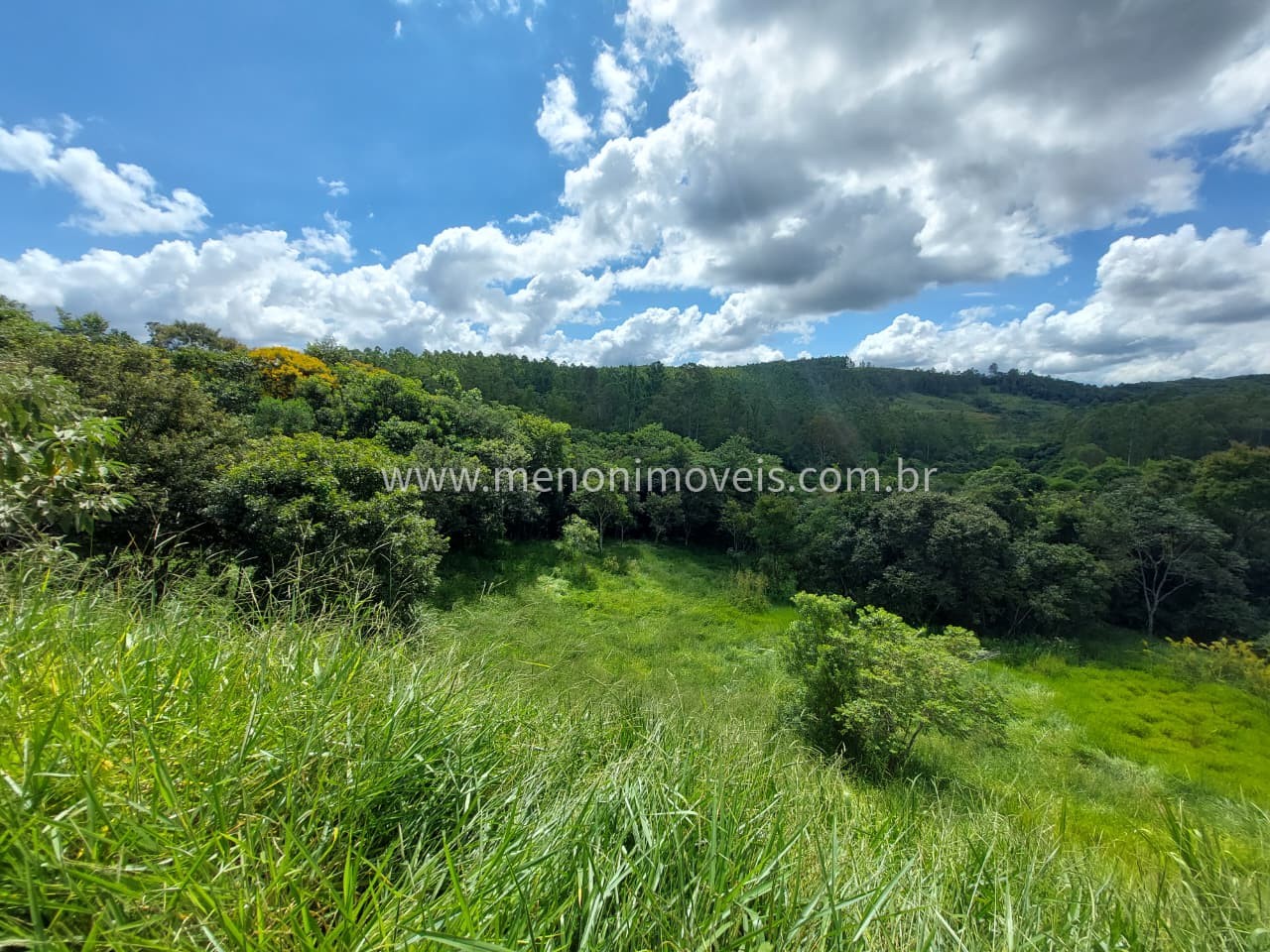 Terreno, 2743 m² - Foto 4